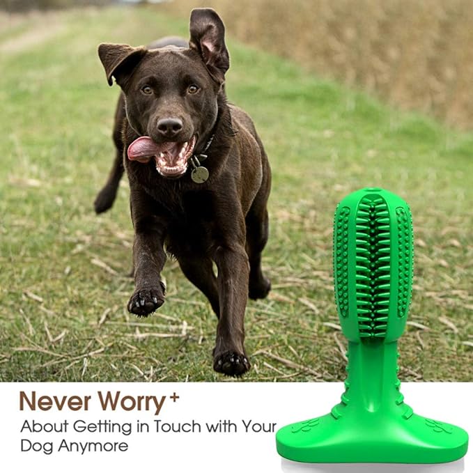 Doeki™| Cepillo De Dientes Para Perros